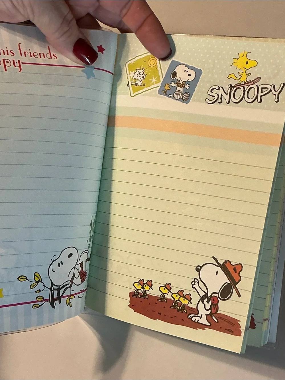 Snoopy Peanuts gang Vinyl cover A5 Notebook Journal 50 colorful pages